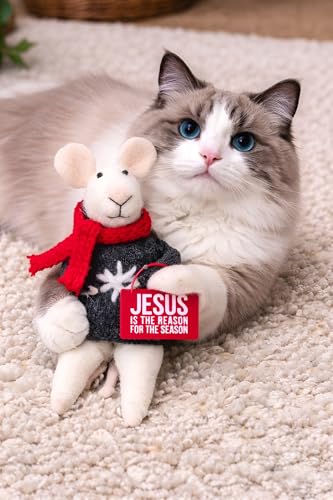 Jesus Is The Reason For The Season Mouse Critter Ornament