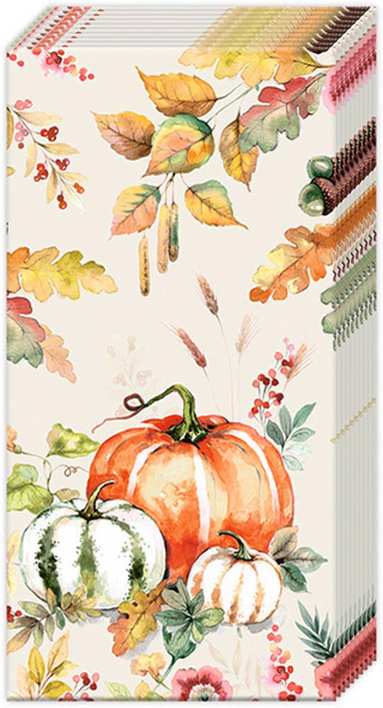 Pocket Tissues Pumpkin Love Cream Pack of 10 Fall Autumn