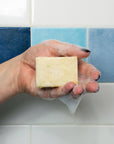 Spock Soap - The Logical Choice