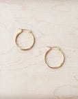 Small Stainless Steel Hoop Earrings 18K Gold Plating 219a