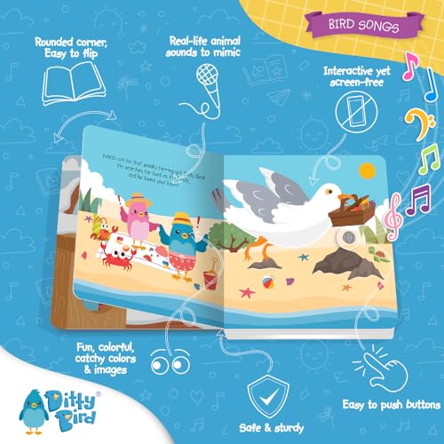 Ditty Bird Bird Sounds Interactive Song Book