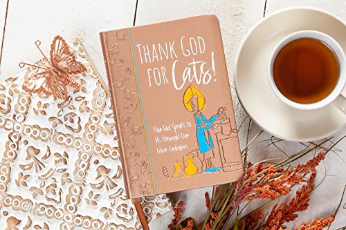 Thank God for Cats!