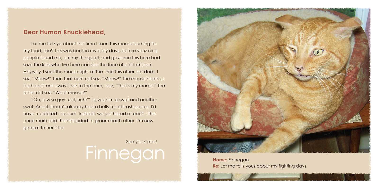 Sorry I Barfed on Your Bed Again by Jeremy  Greenberg