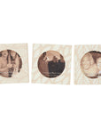 Leaf Design Mini Photo Magnet Set