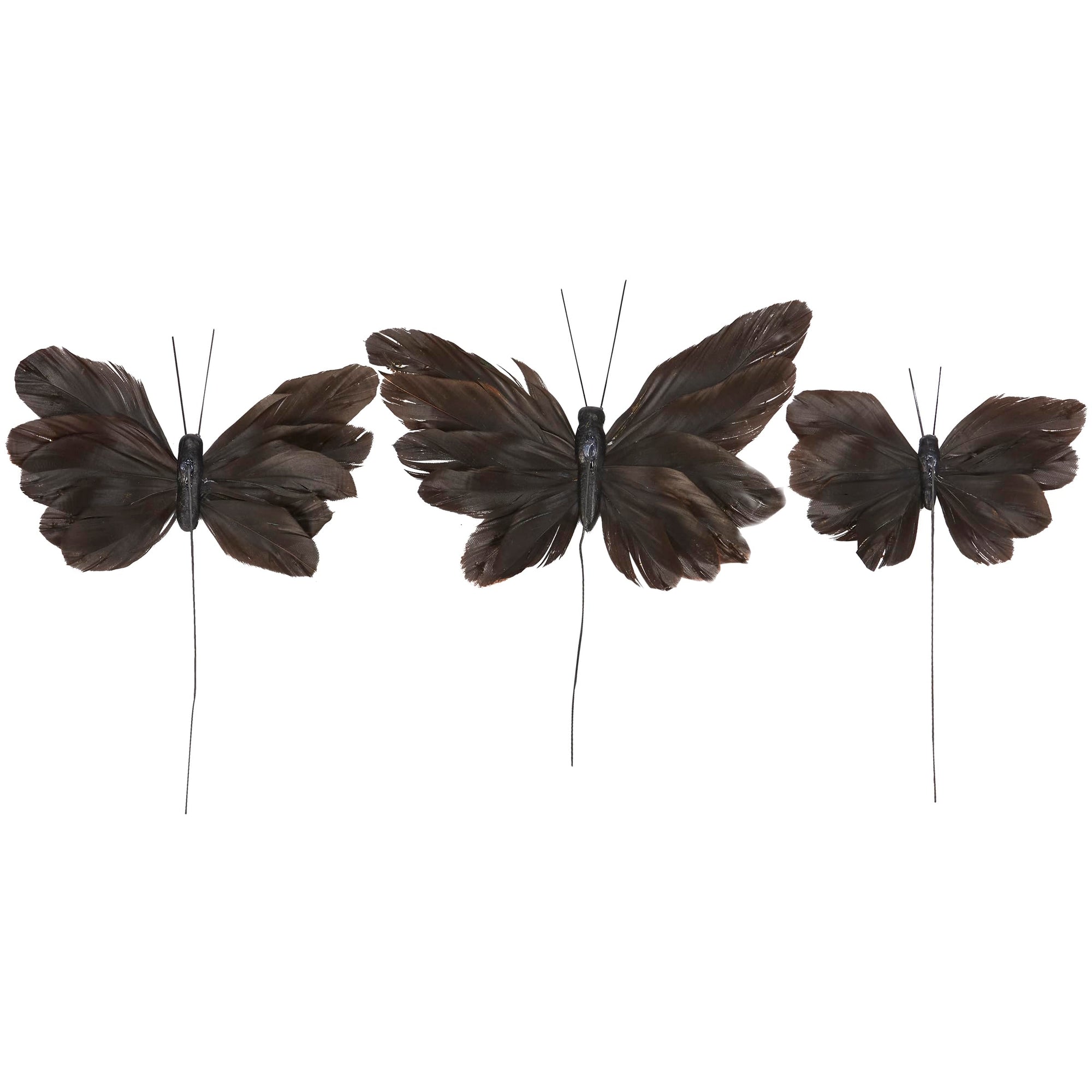 Moody Butterfly Pick Set