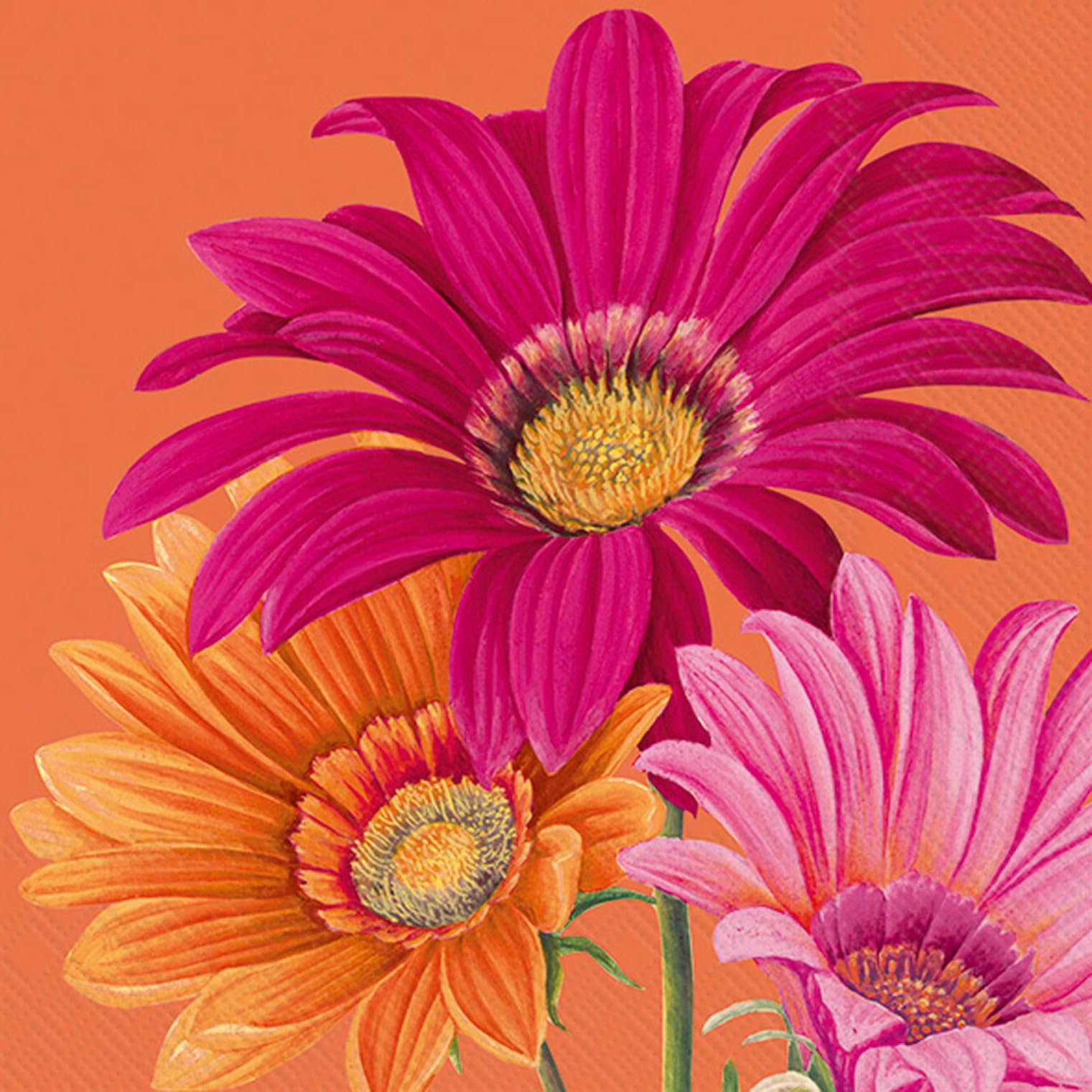 Joyful Gerbera Cocktail Napkins