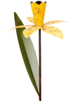 Daffodil Garden Pick