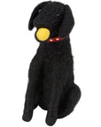 Fetch Dog Critter