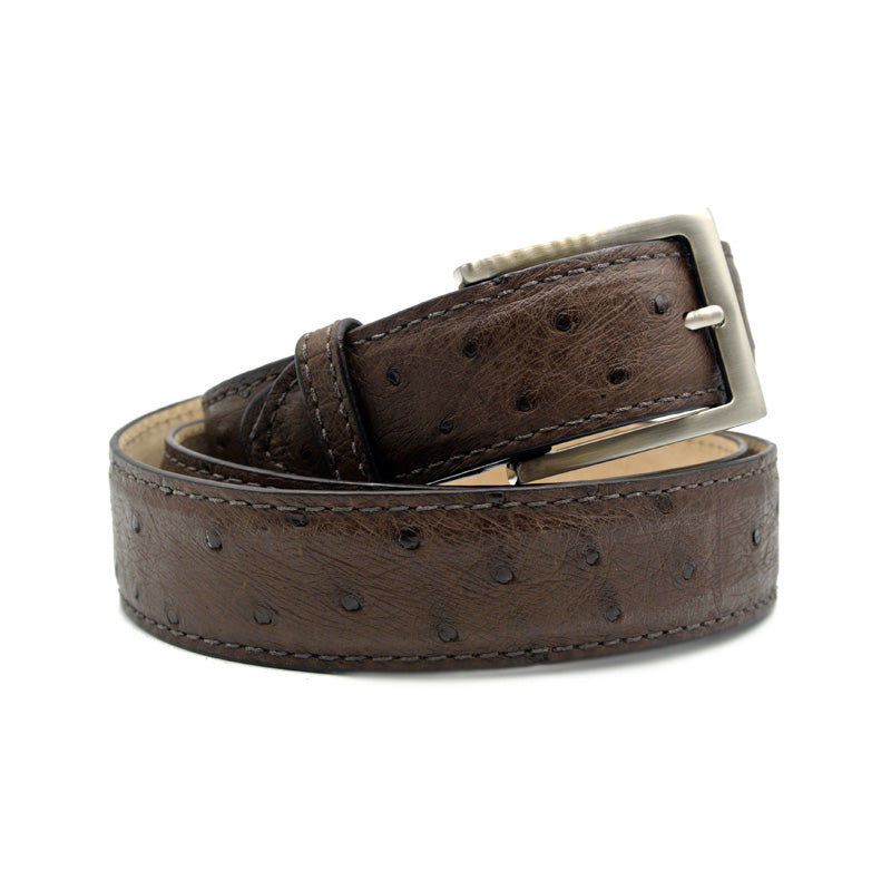 OSTRICH QUILL Belt, Brown