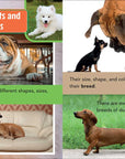 Smithsonian Kids All-Star Readers: All About Dogs