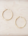 Medium Stainless Steel Hoop Earrings 18K Gold Plating 219b