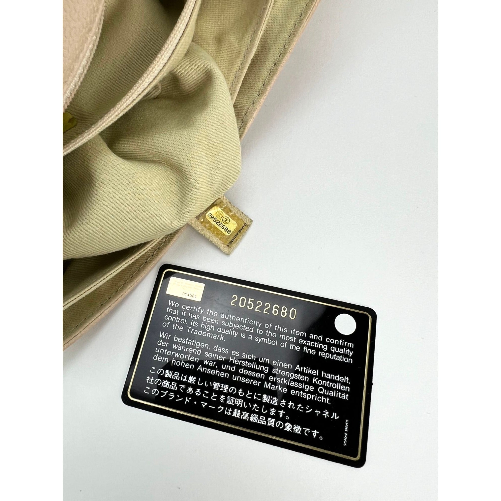 Chanel Grained leather Medium Natural Beauty Beige Flap Bag