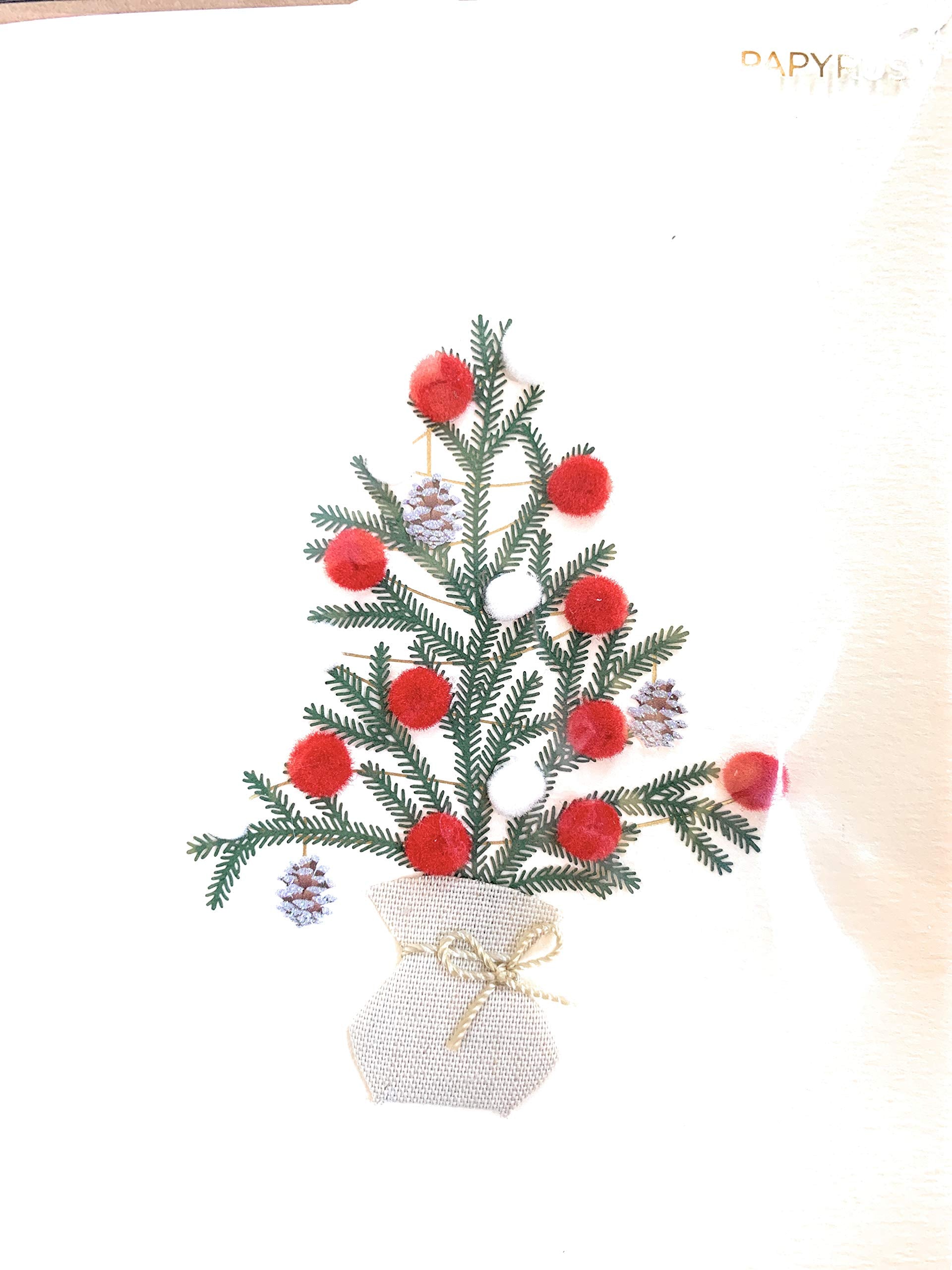 Papyrus Christmas Card