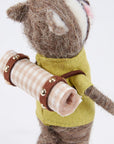 Picnic Raccoon Critter