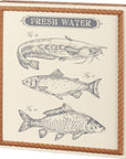 Fresh Water Fish Decor