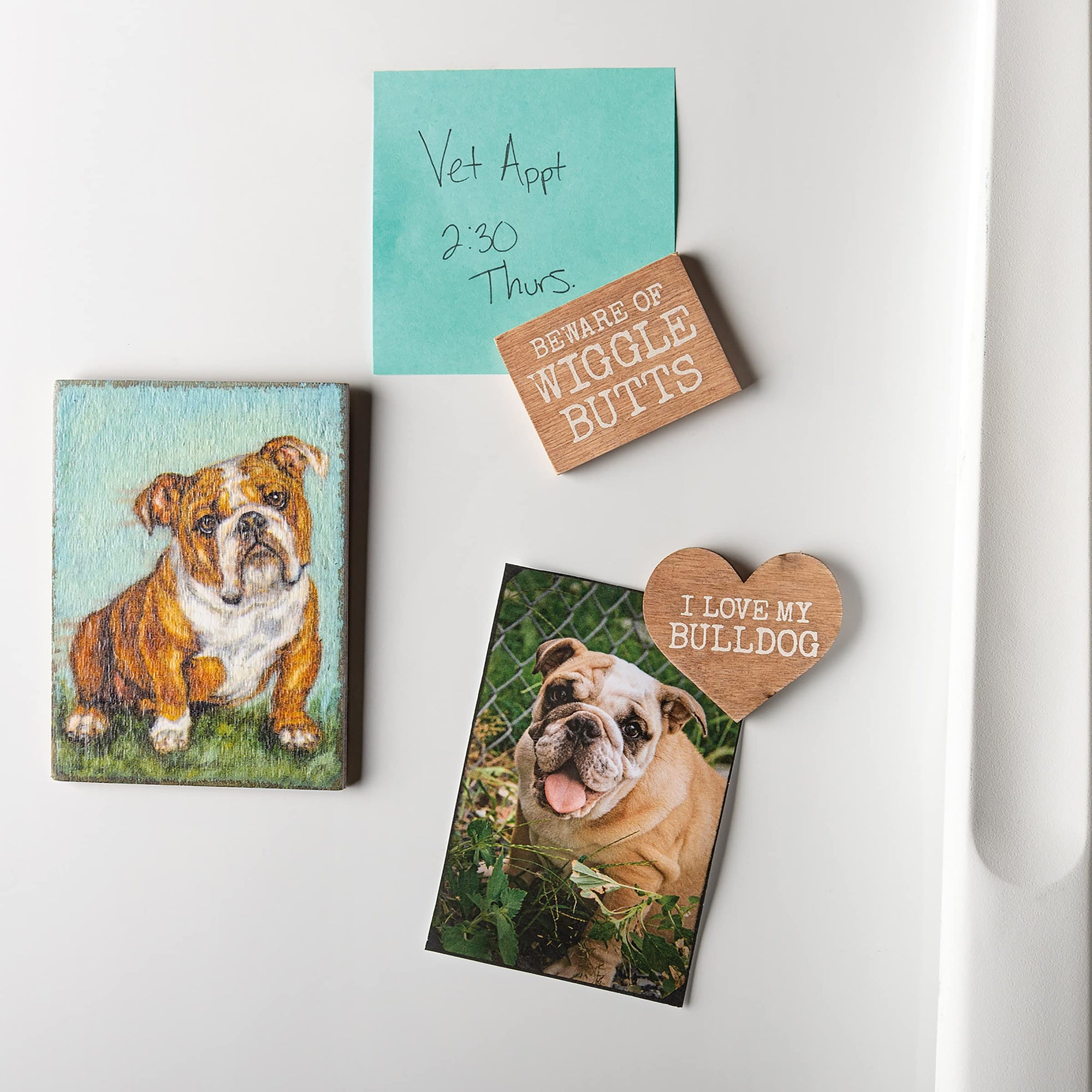 Beware Of Wiggle Butts Bulldog Magnet Set