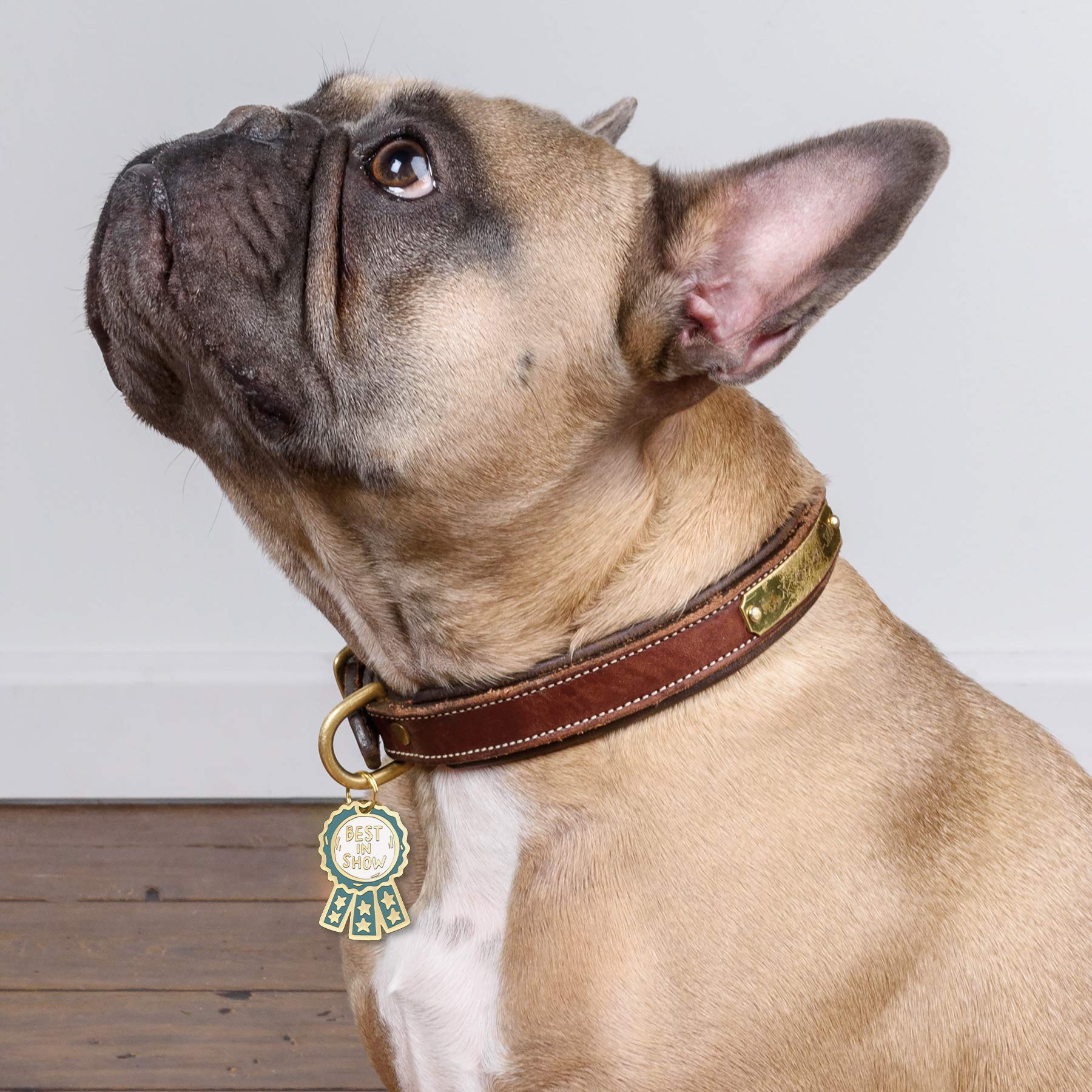 Best In Show Dog Collar Charm