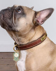 Best In Show Dog Collar Charm