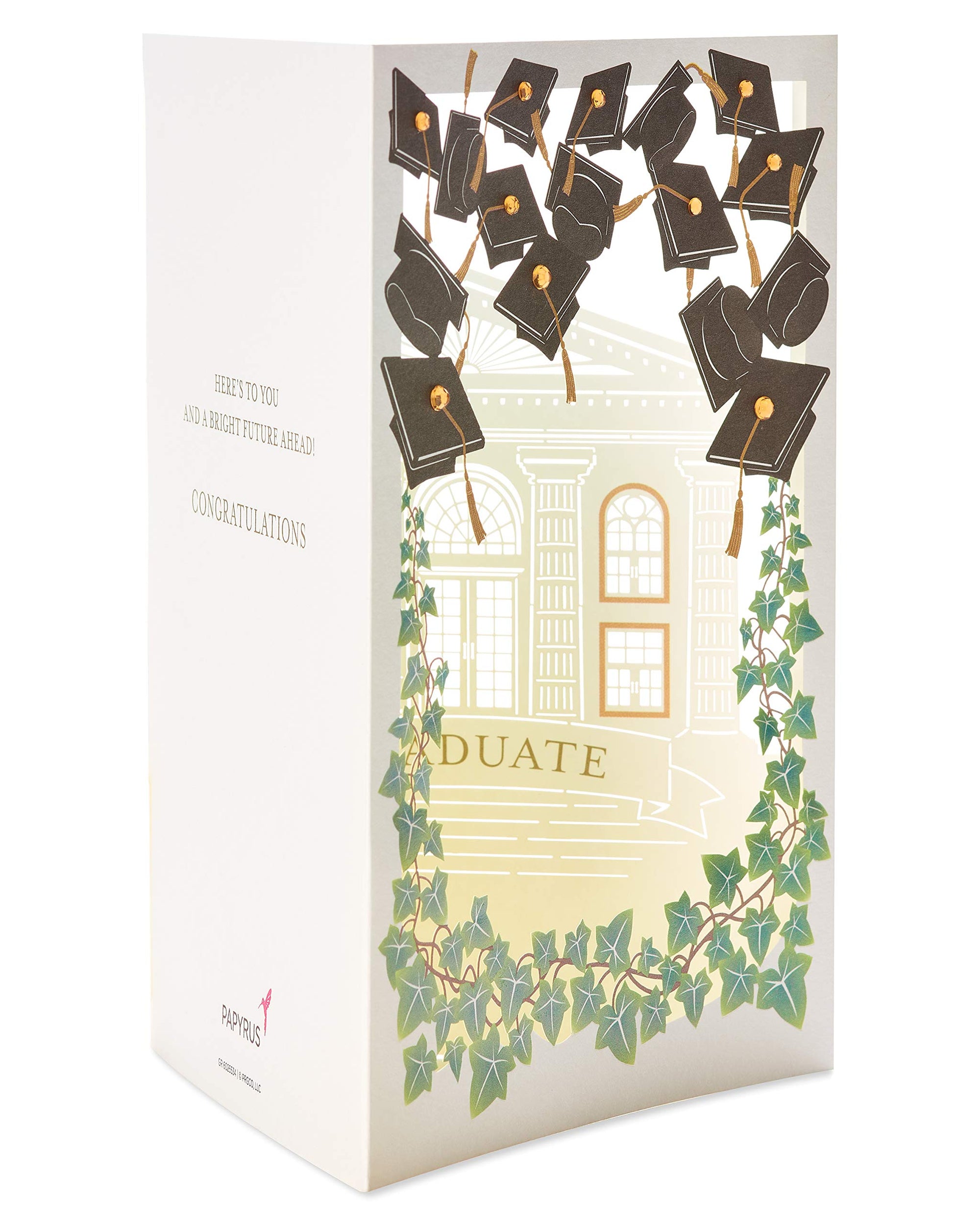 Papyrus Graduation Card