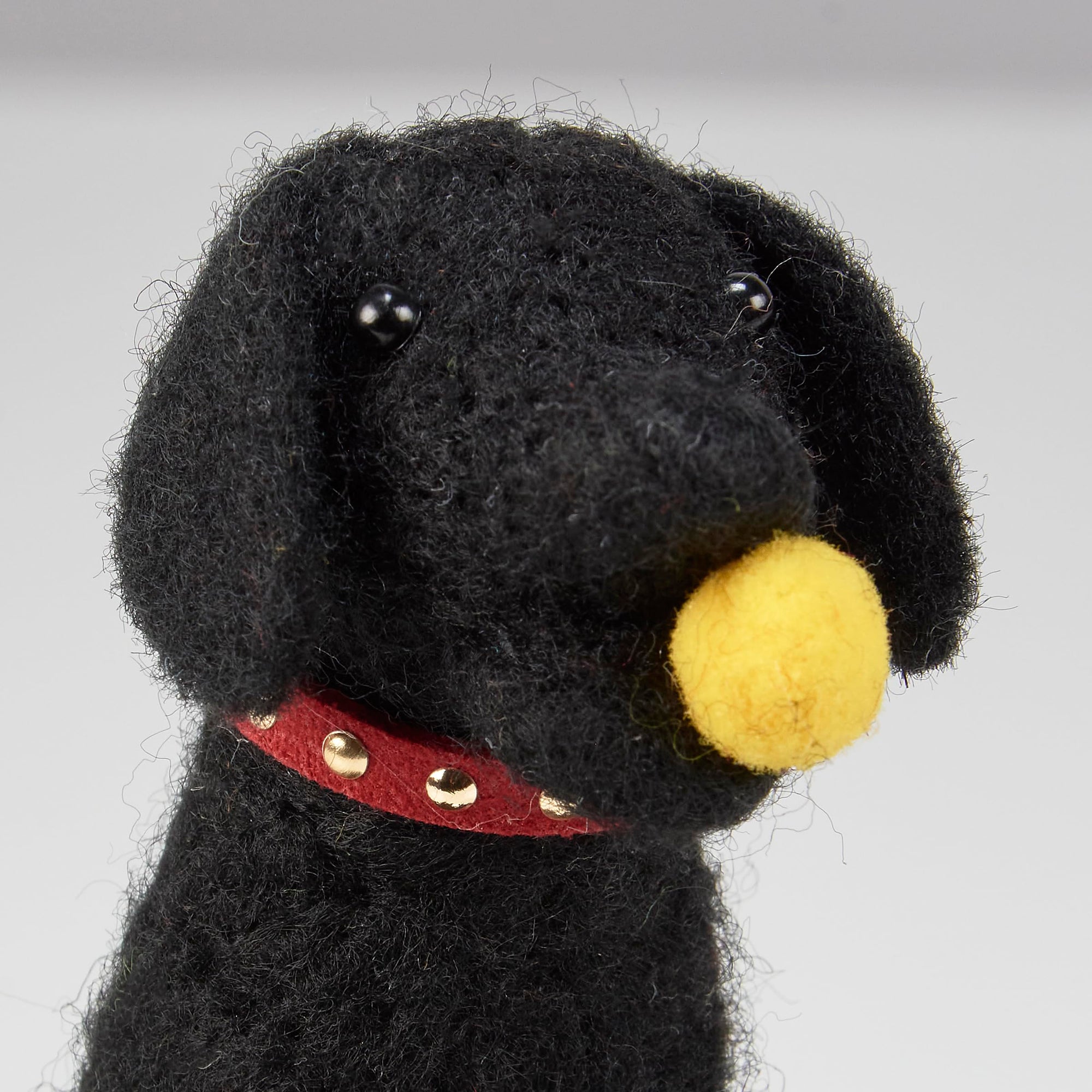 Fetch Dog Critter