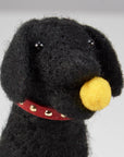 Fetch Dog Critter