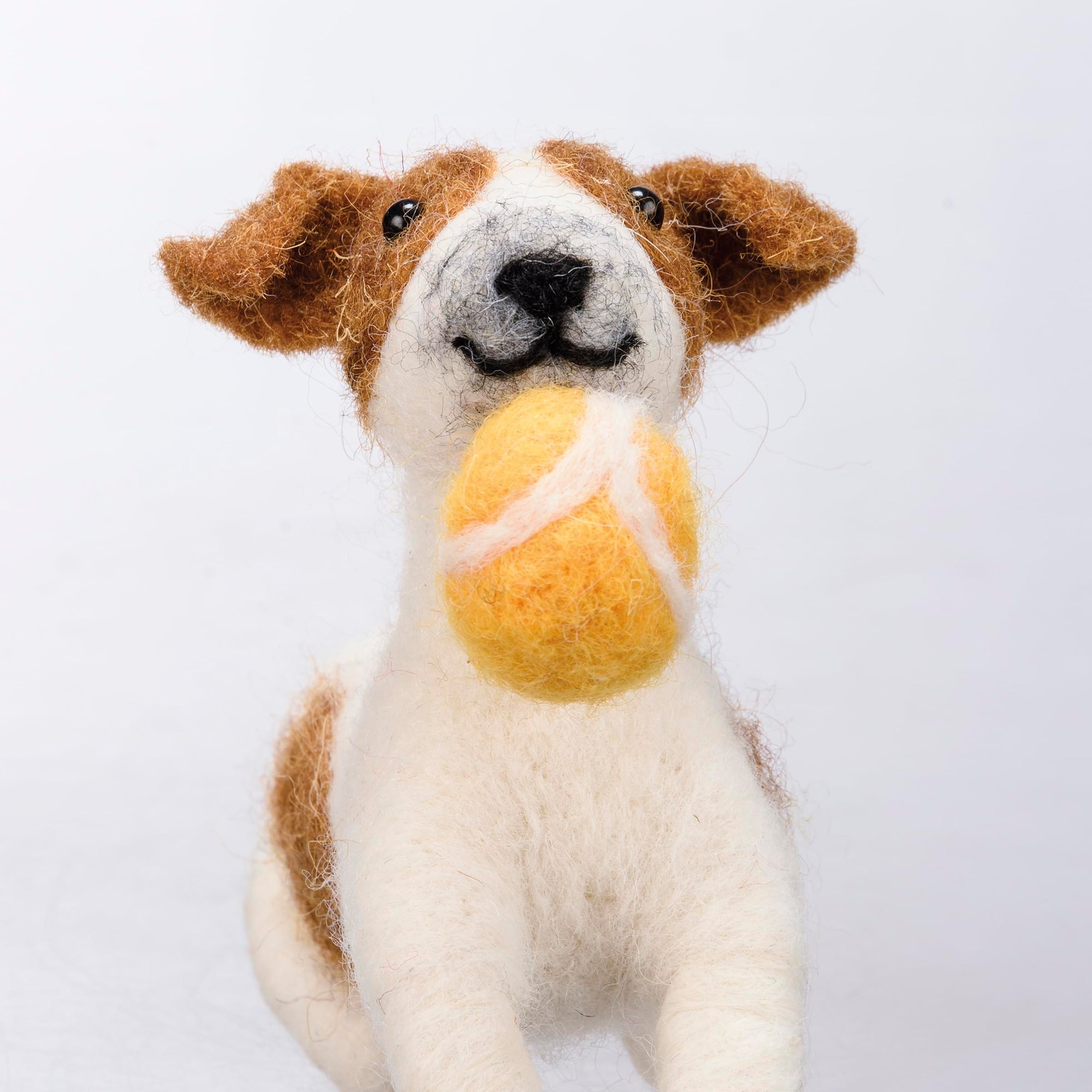 Playful Dog With Tennis Ball Critter
