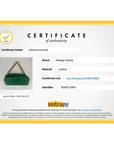 Bottega Veneta Green Chain Leather Pouch Bag  Clutch