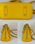 LOUIS VUITTON Alma BB Epi Leather Shoulder Bag