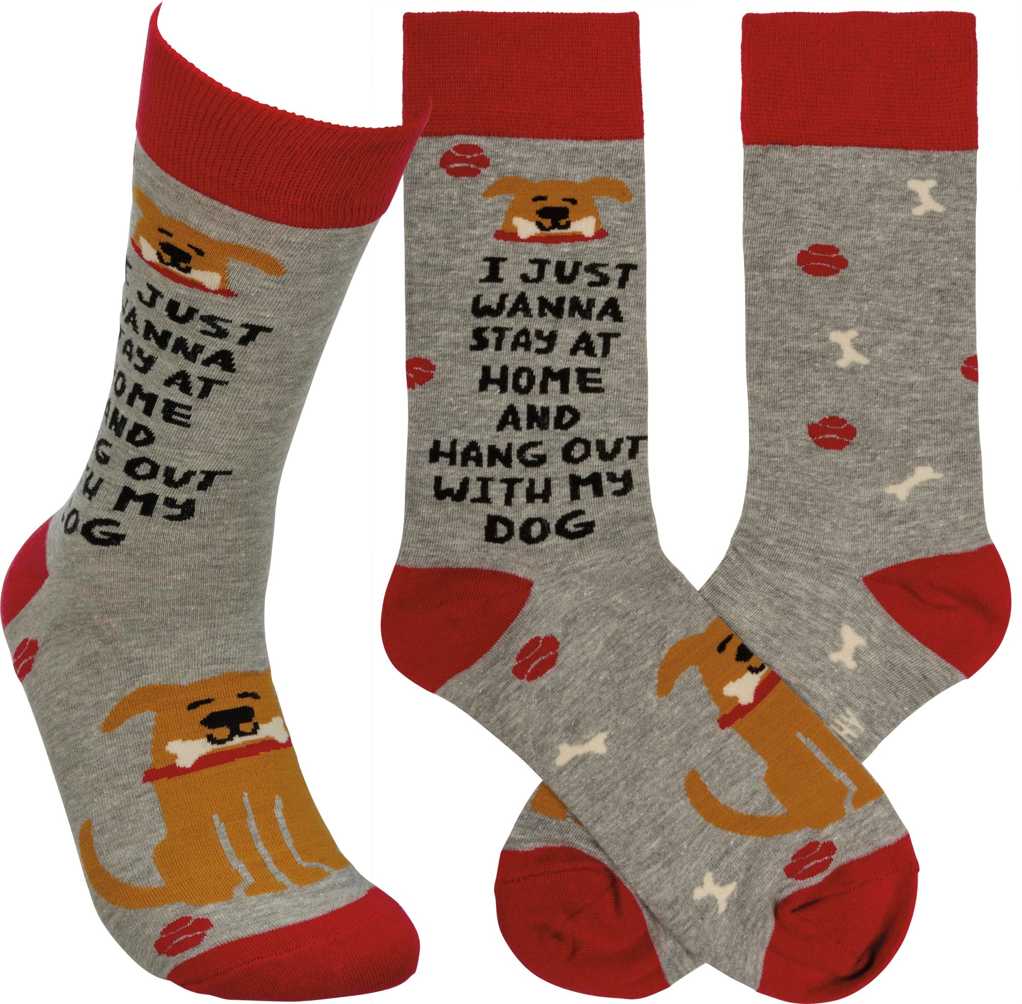 I Just Wanna Stay At Home And Hang Out With My Dog Socks