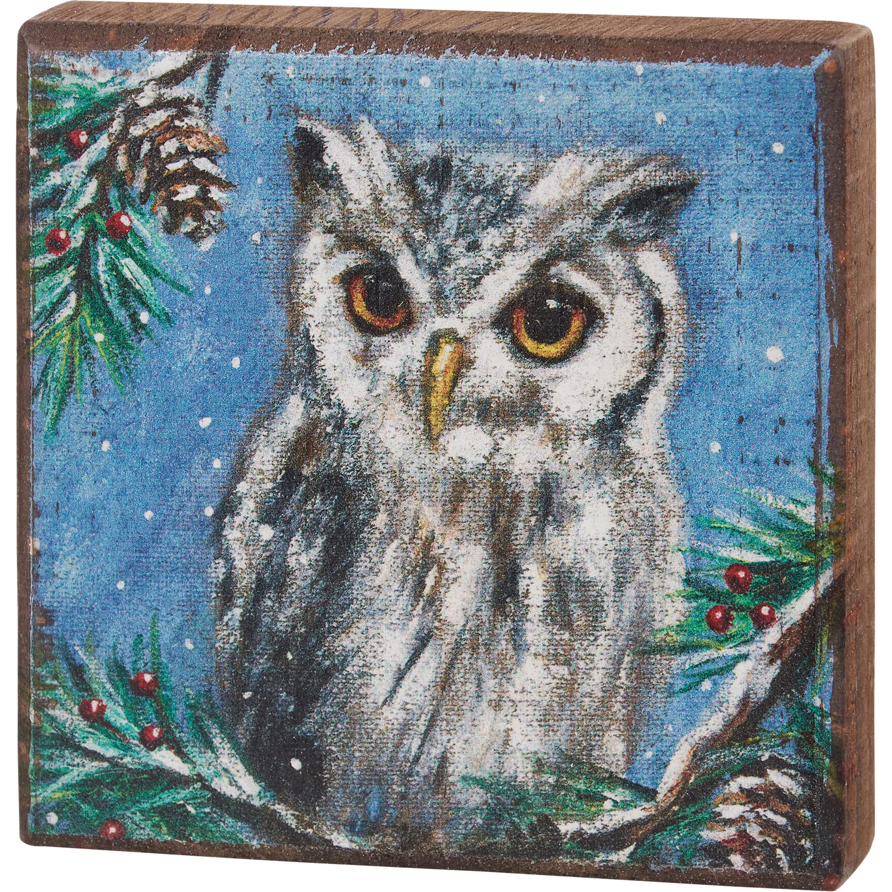 Winter Owl Block Sign
