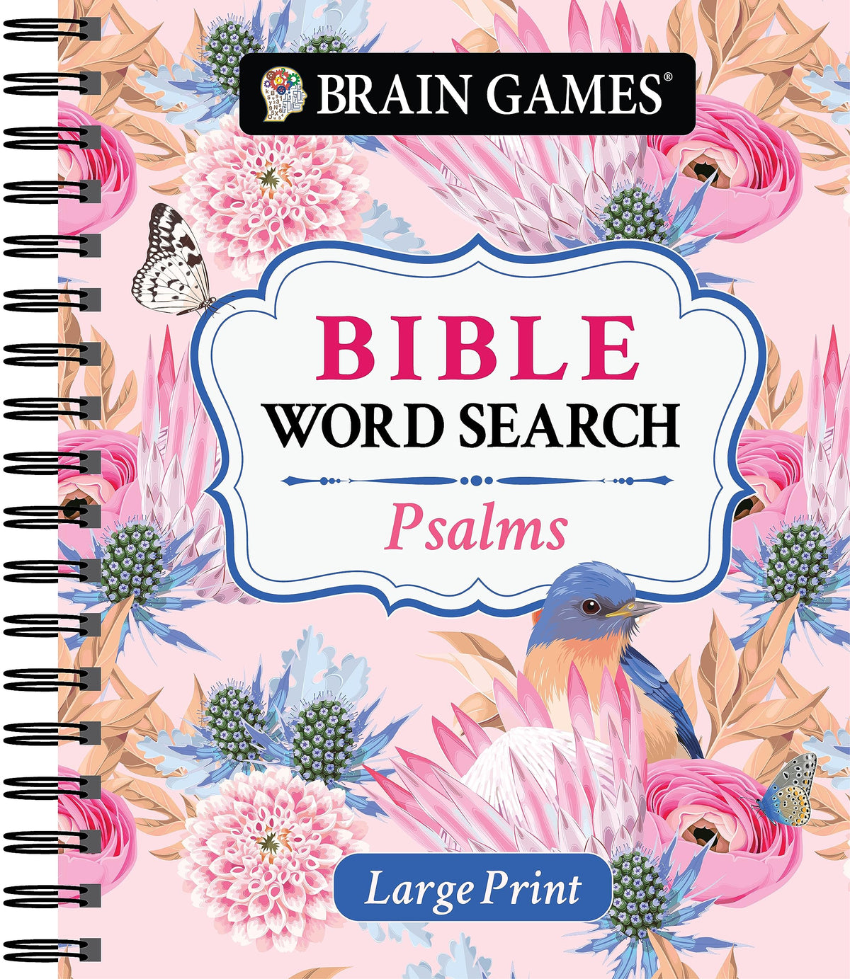 Brain Games Large Print Psalms Bible Word Search