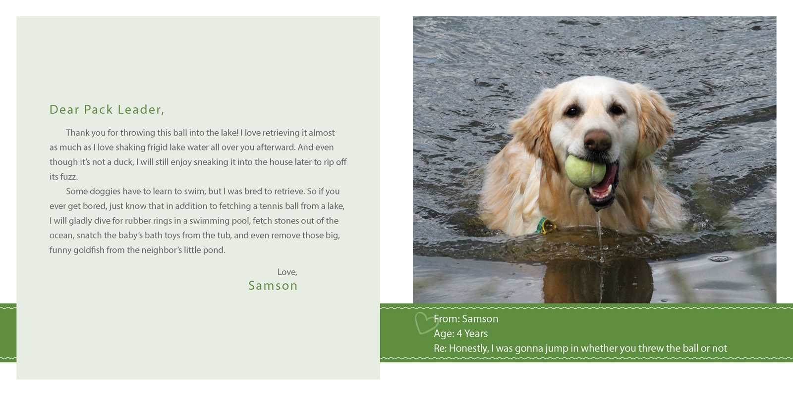 Sorry I Pooped in Your Shoe (and Other Heartwarming Letters from Doggie) by Jeremy  Greenberg