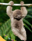 Hello Baby Sloth!
