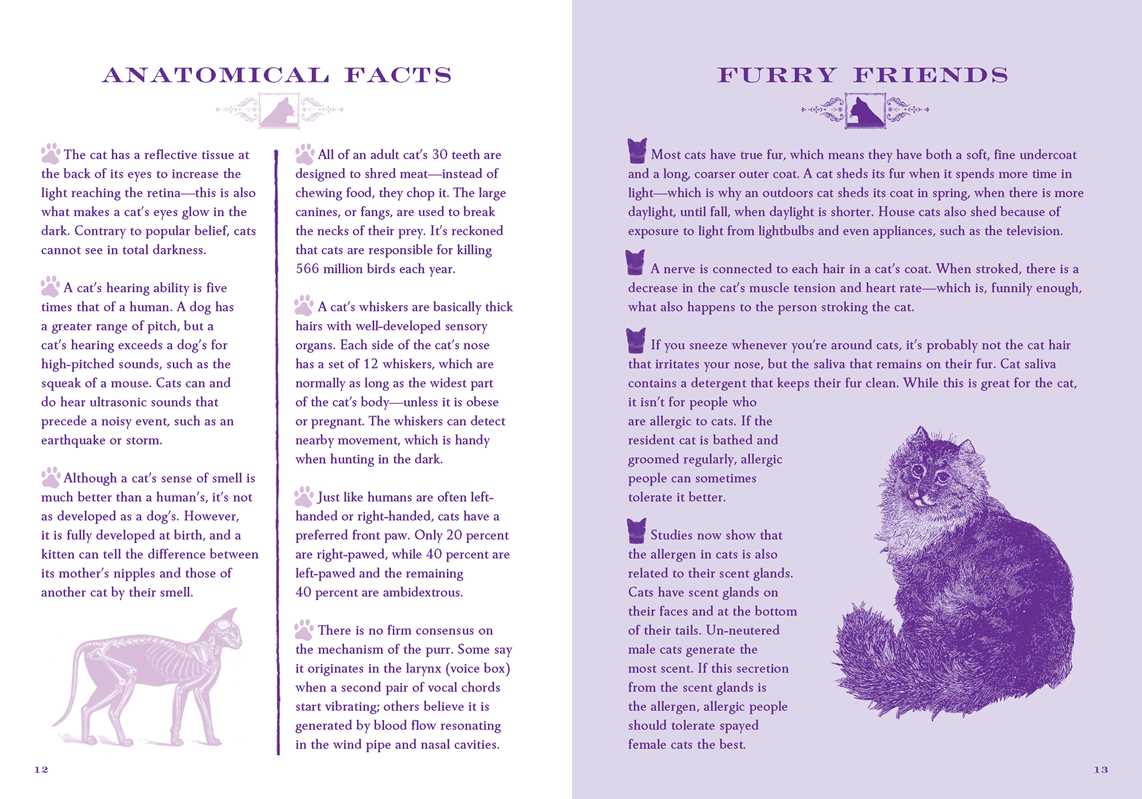 Little Book of Lore for Cat Lovers