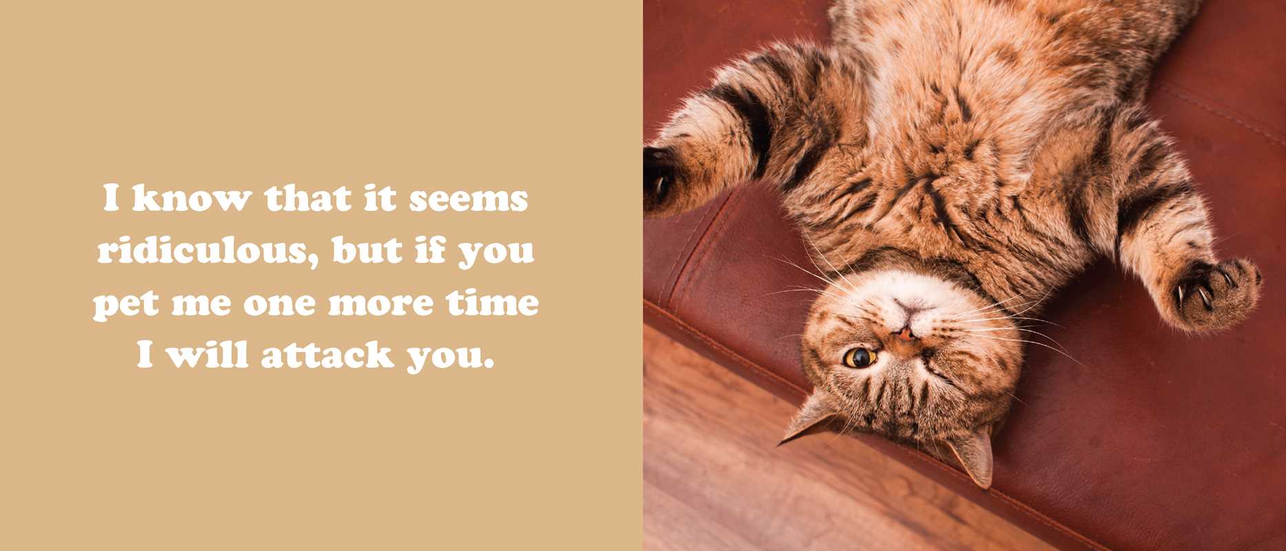 Secret Thoughts of Cats