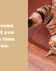 Secret Thoughts of Cats