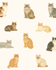 Cat's Meow Wallpaper