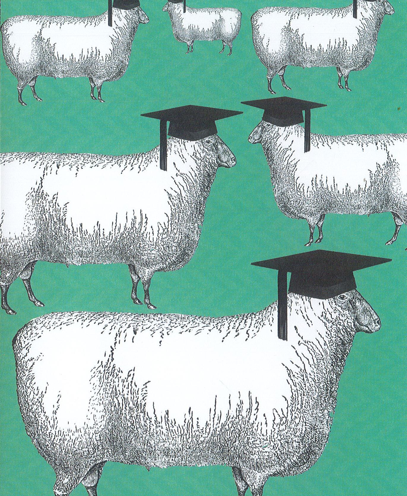 Graduation Card
