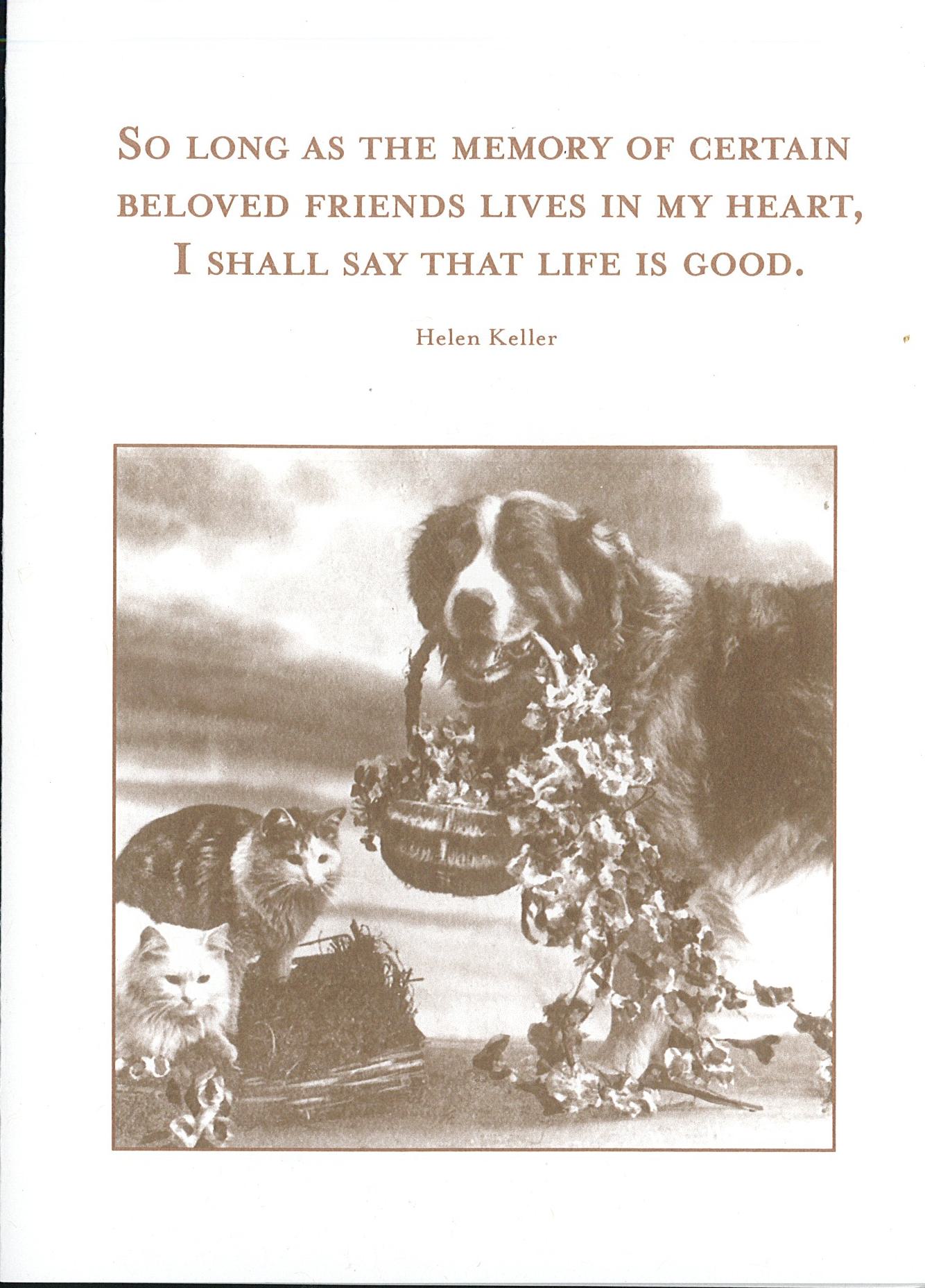 Pet Sympathy Card