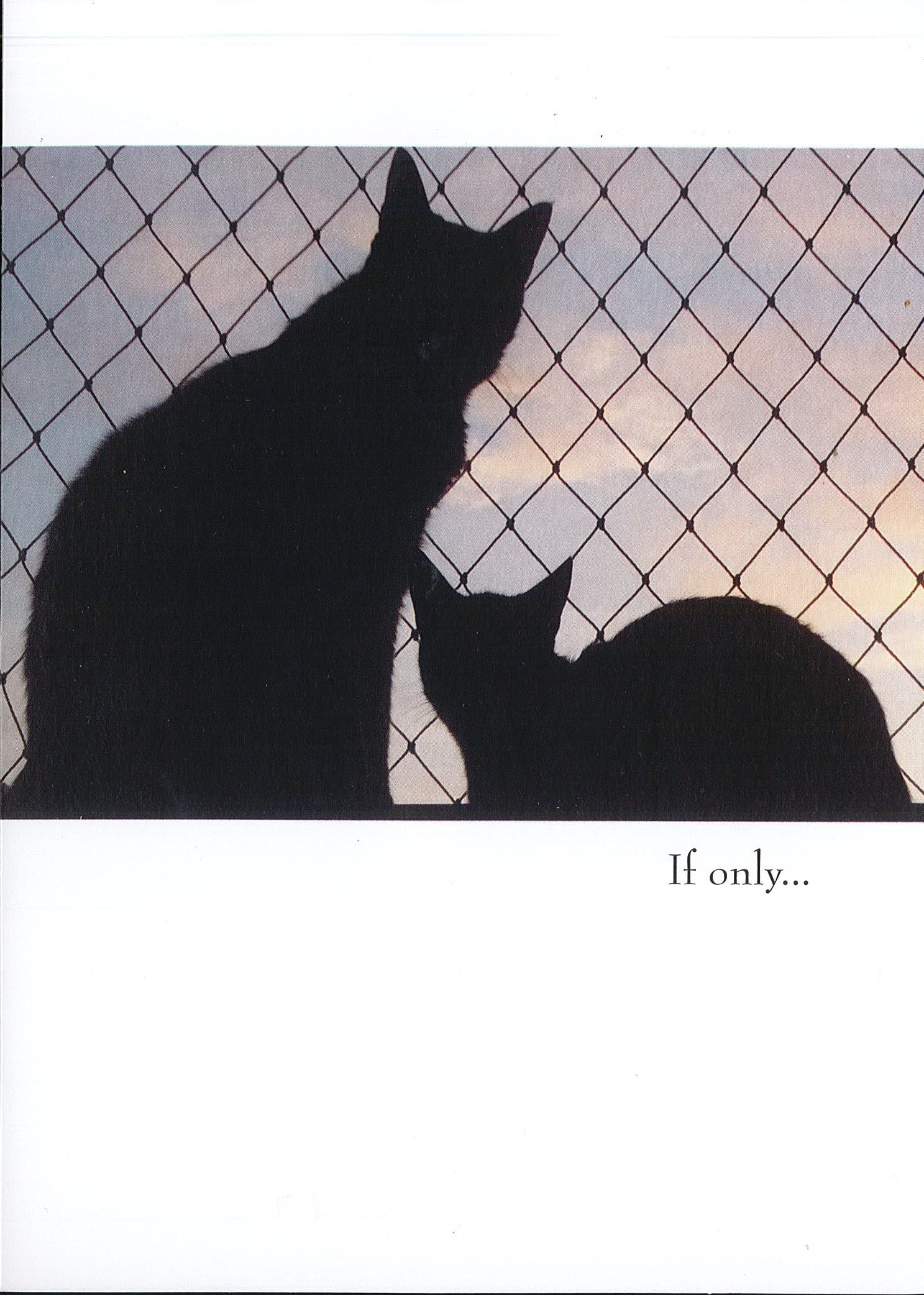 Pet Sympathy Card (Cat)