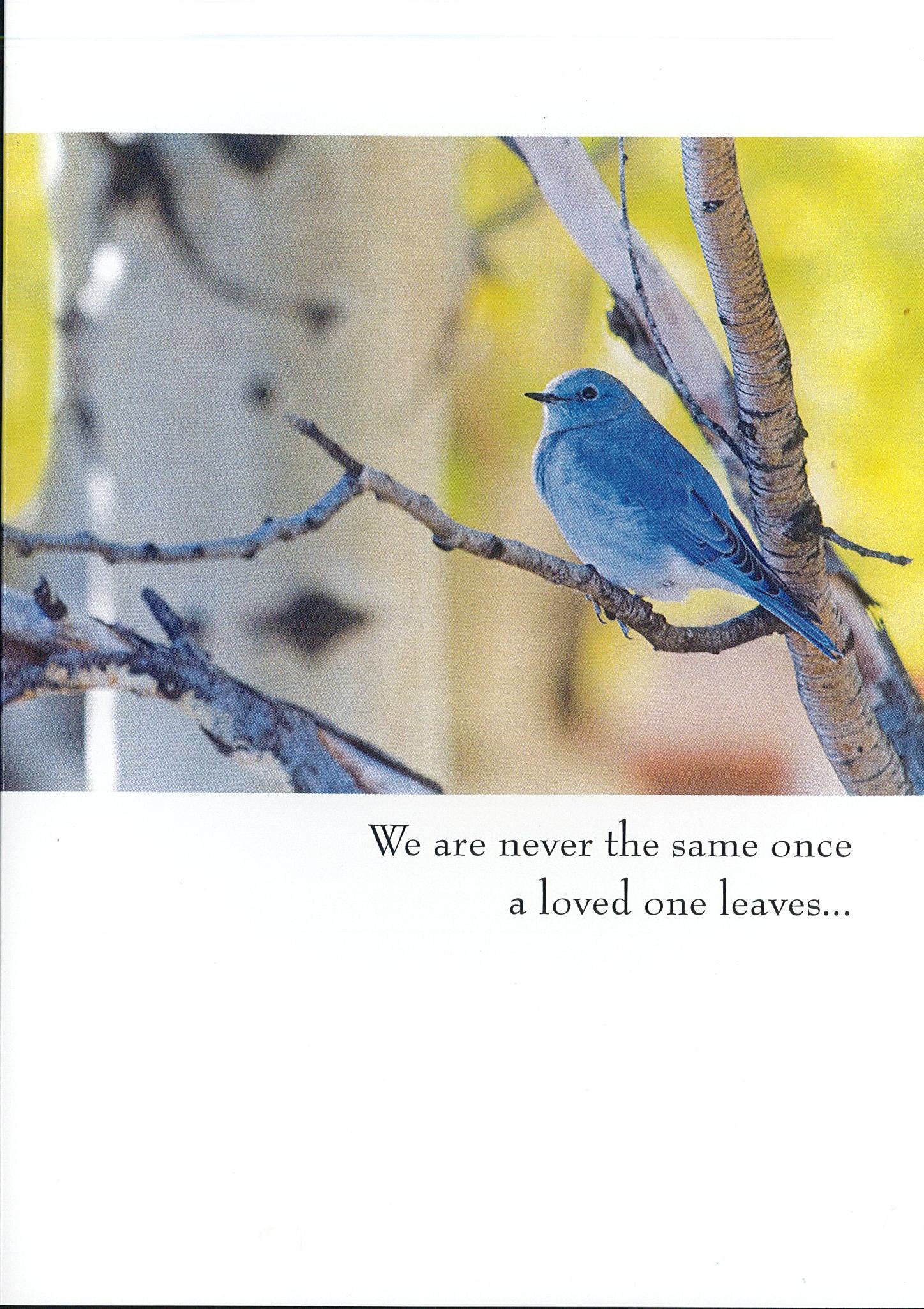 Sympathy Card