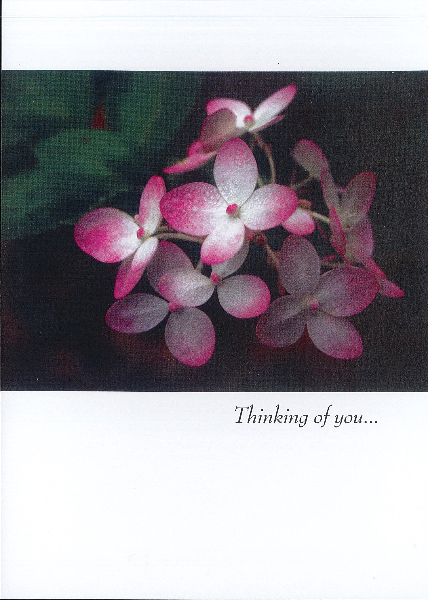 Sympathy Card (To The Family)