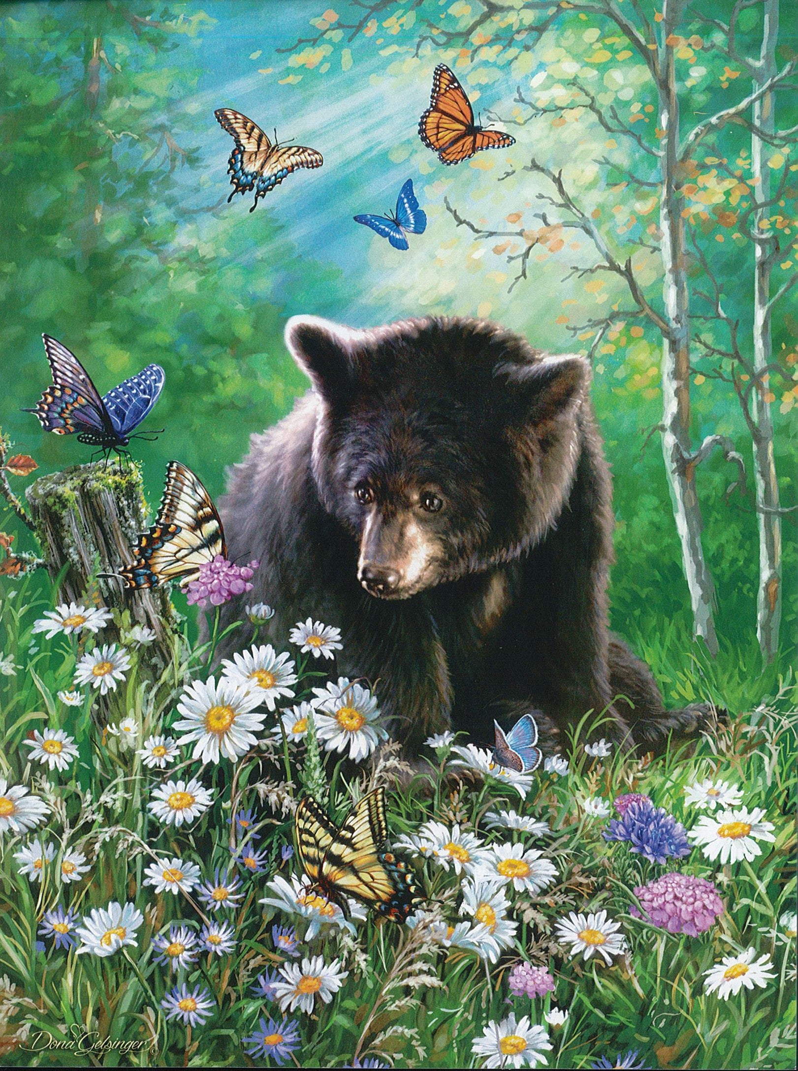 Birthday Card