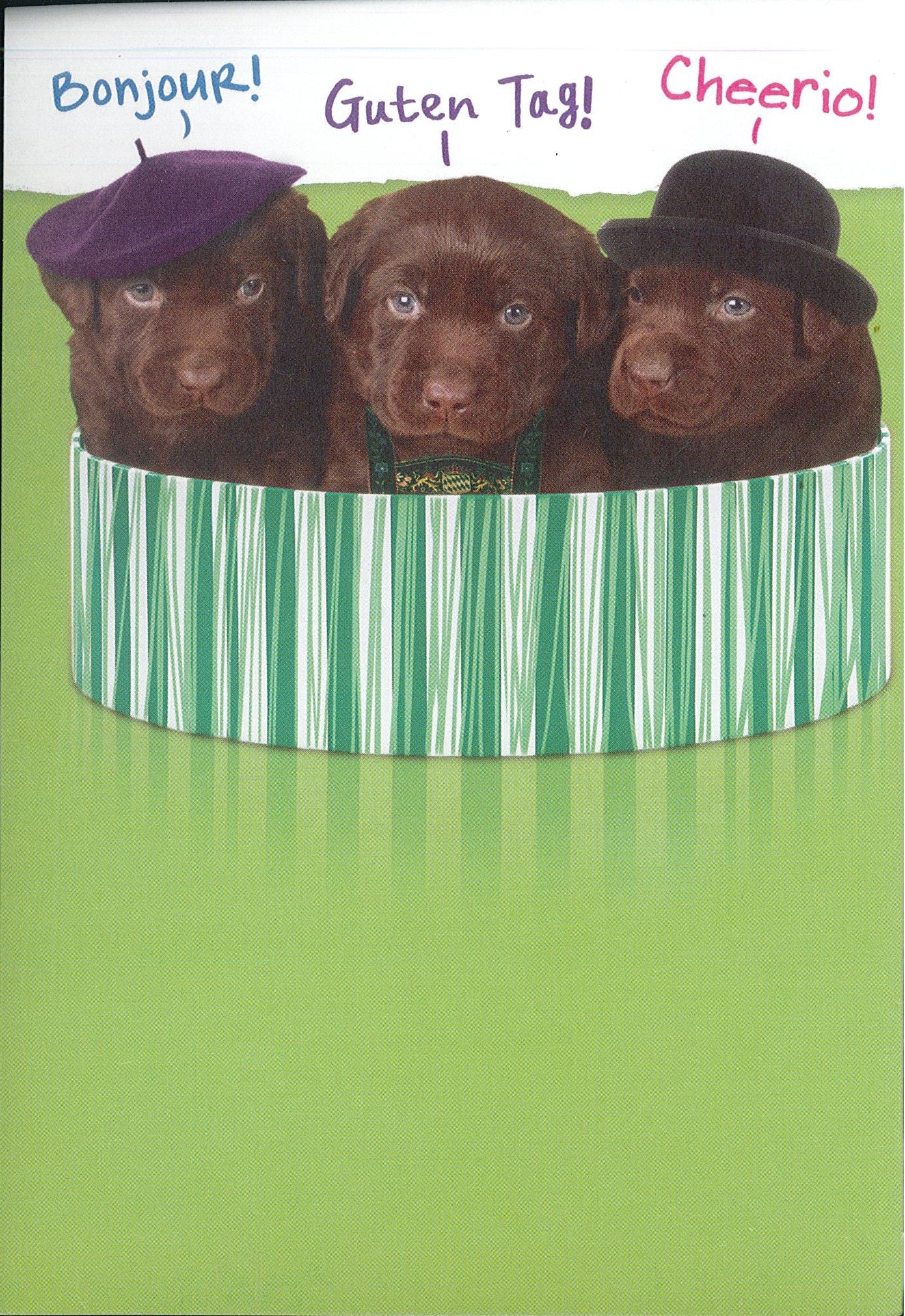 Birthday Card
