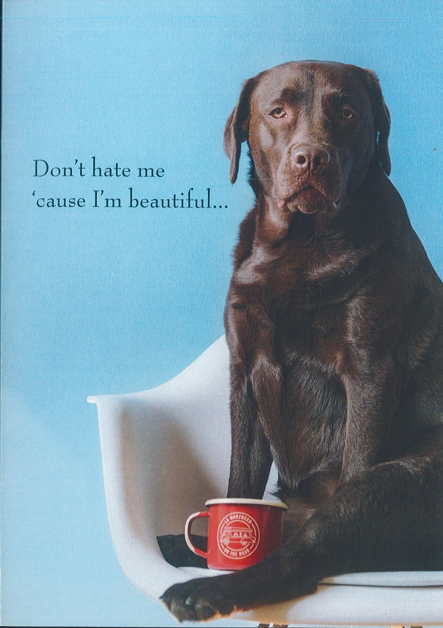 Birthday Card (Dog)