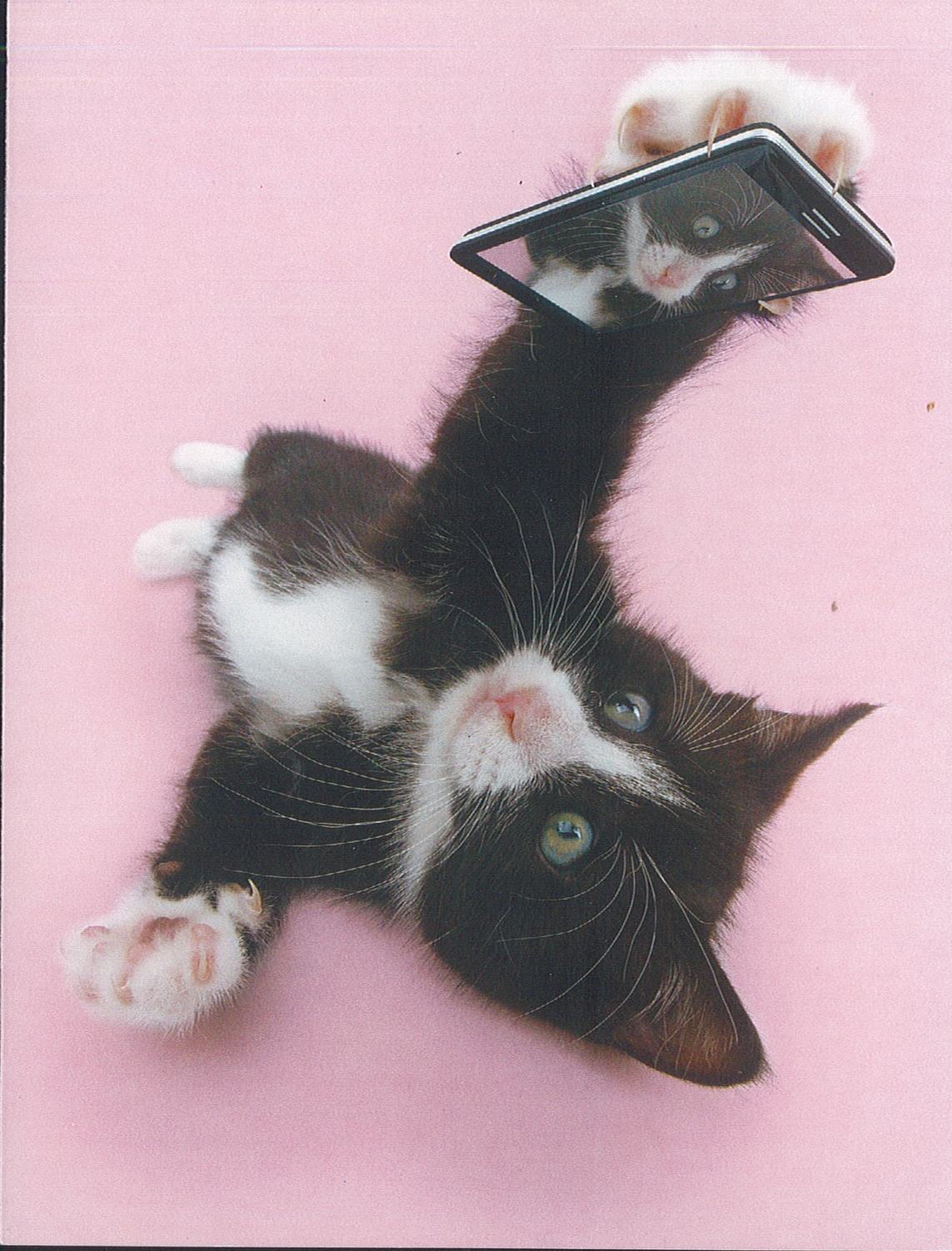 Birthday Card (Cat)