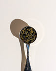 Narcissus Oolong