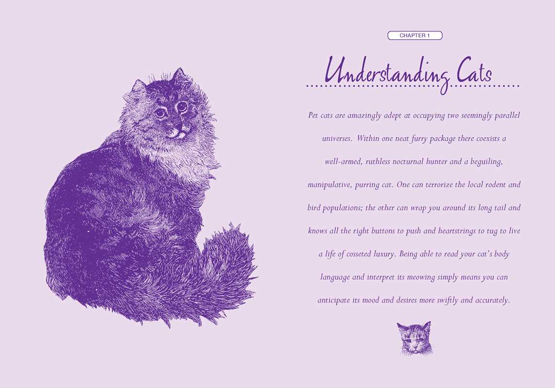 Little Book of Lore for Cat Lovers