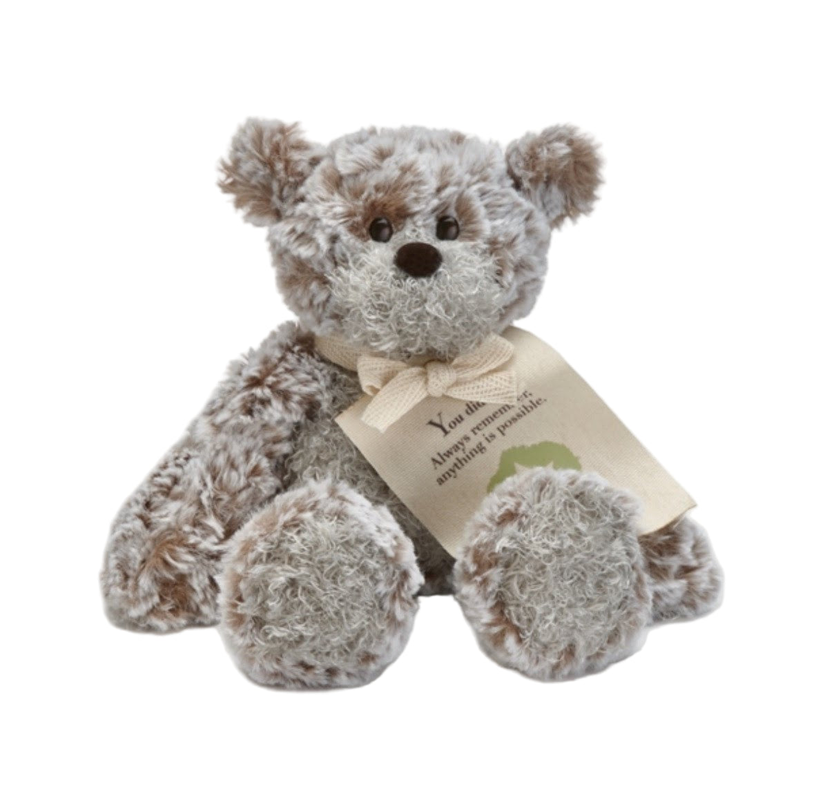 "You Did It!" Mini Giving Bear Stuffed Animal