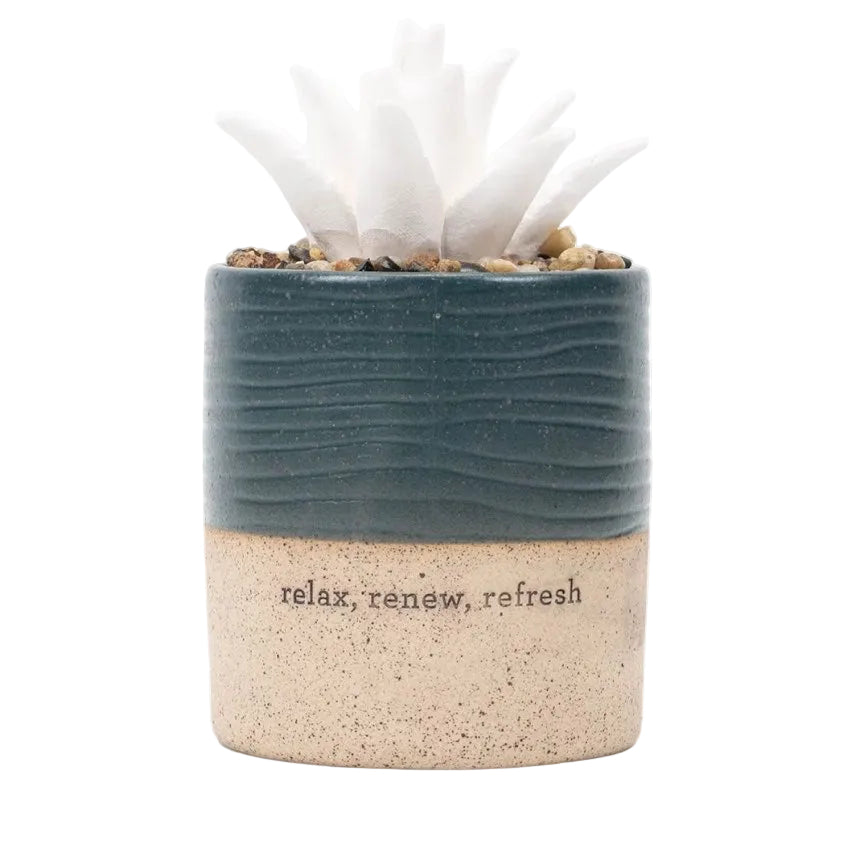 Succulent Aromatherapy Diffuser
